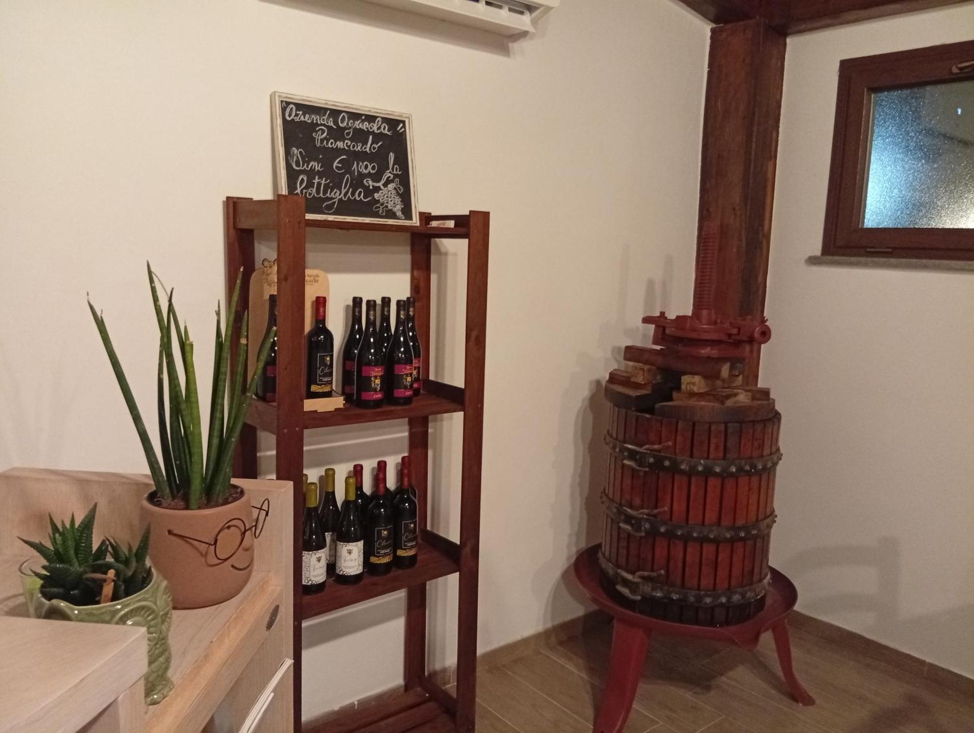 마르타 아그리투리스모 산타 마리아 빌라 외부 사진